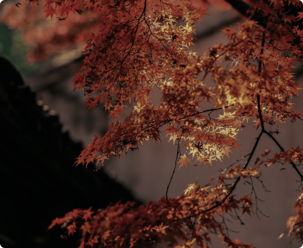 Dr. NUTTAPONG NAMSIRIKUL (POP) ครูพี่ป๊อป ดร. ณัฐพงศ์ นำศิริกุล CULTURAL